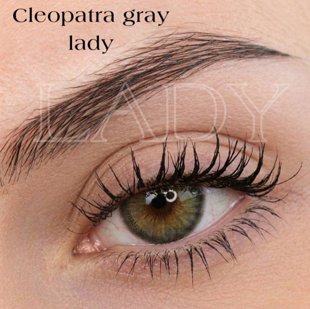 Cleopatra gray